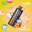 Vozol Gear 25000 Watermelon Mint