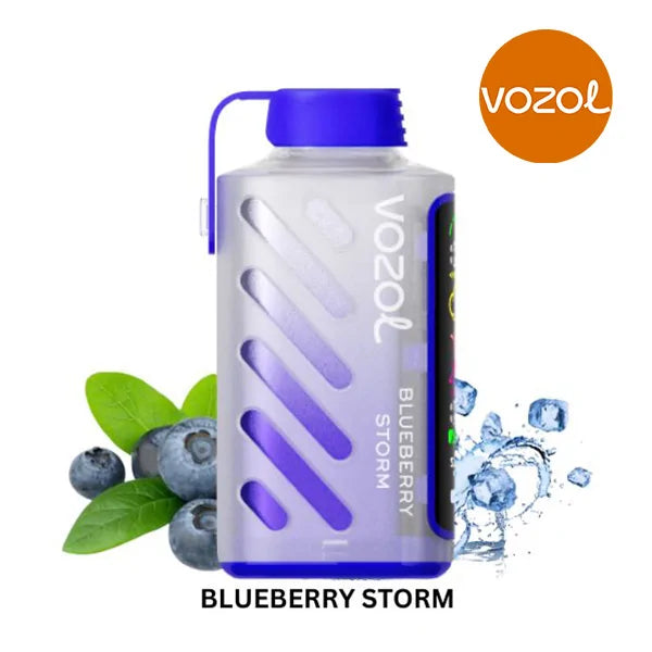 Vozol Gear Power 20000 Blueberry Storm Ürün ana görseli